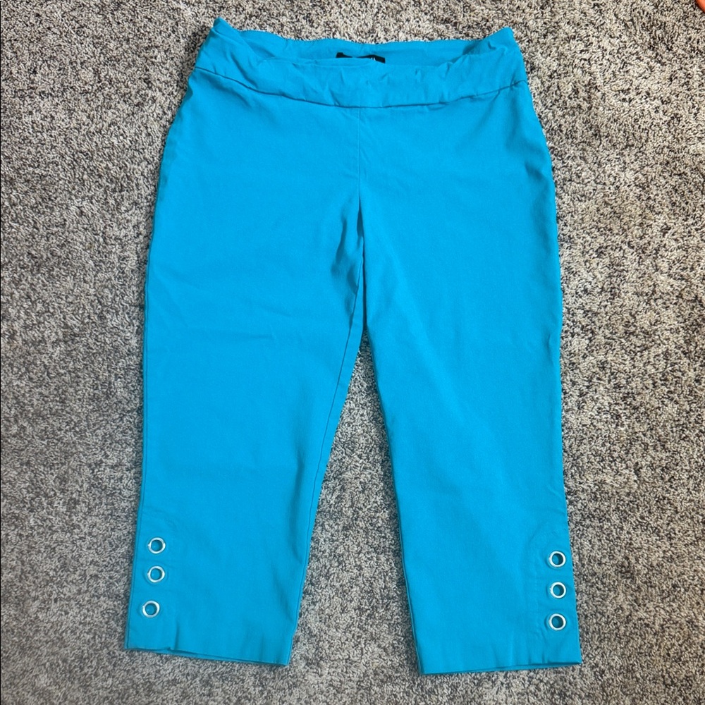 Zac & Rachel Teal Cropped Dress Pants